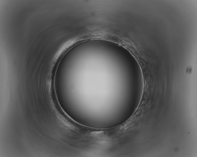 X0000094970054200712061437