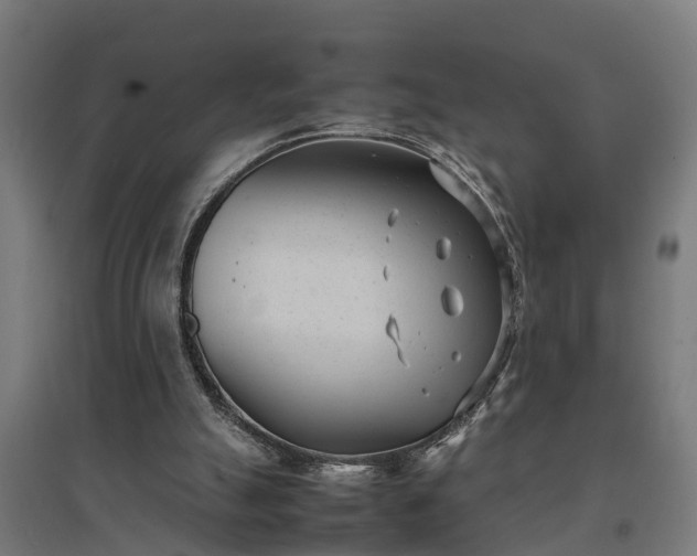 X0000094970055200712061437