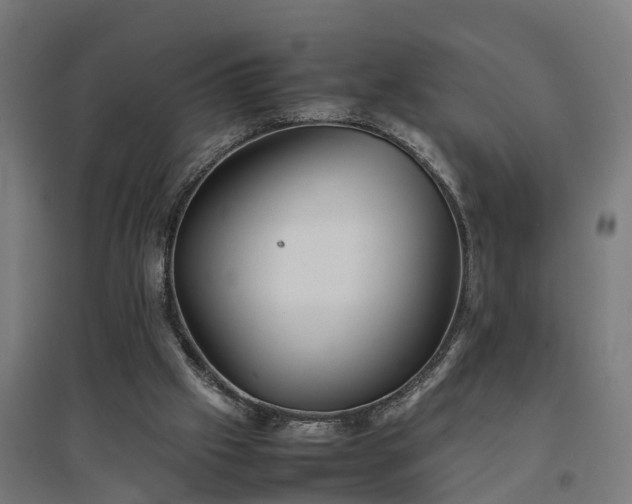 X0000094970057200712061437