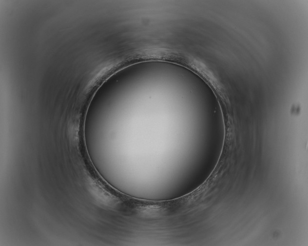 X0000094970058200712061437