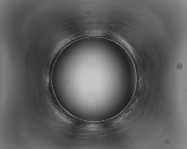 X0000094970059200712061437