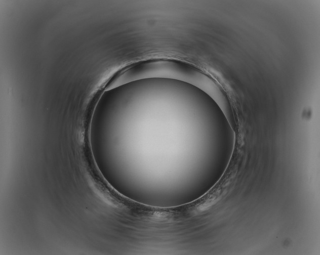 X0000094970060200712061437