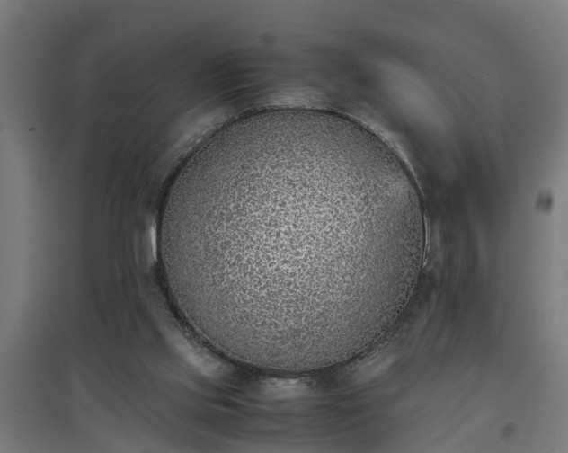 X0000094970061200712061438