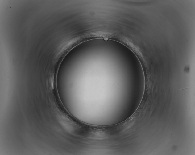 X0000094970062200712061438