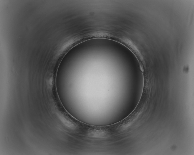 X0000094970063200712061438