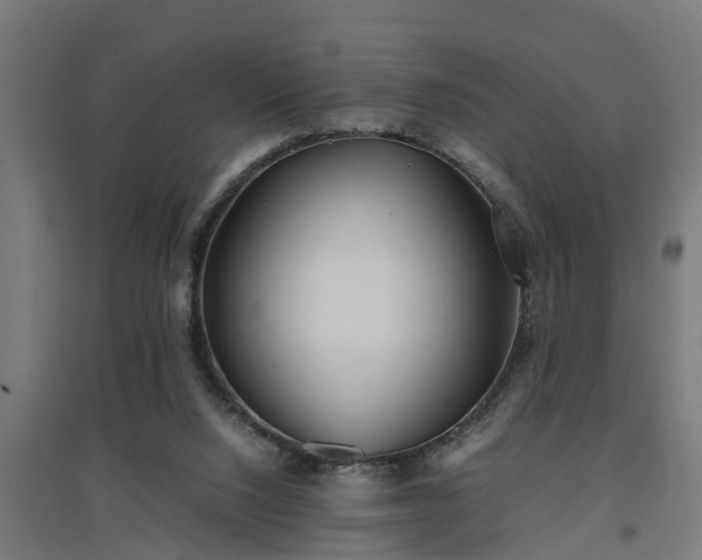 X0000094970064200712061438