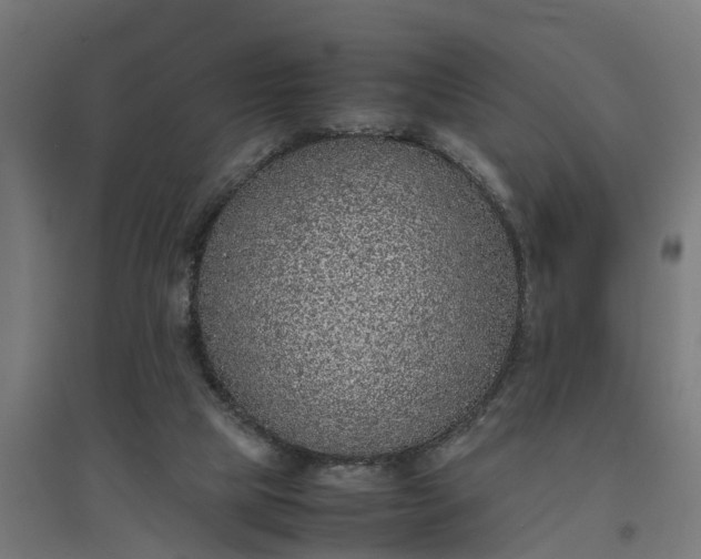 X0000094970065200712061438