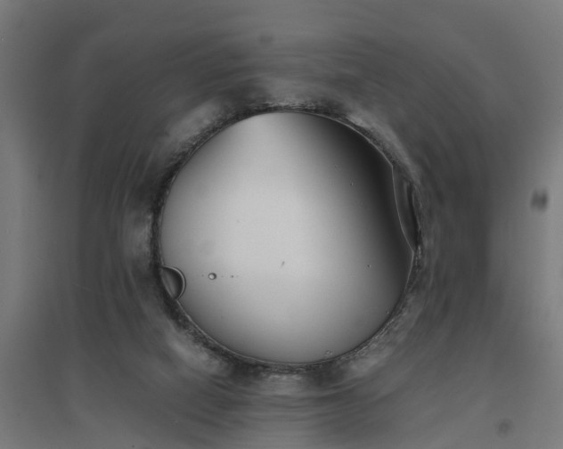 X0000094970066200712061438