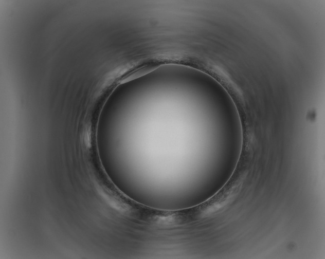 X0000094970068200712061438