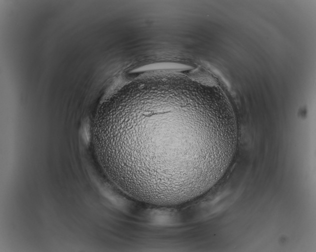 X0000094970069200712061438