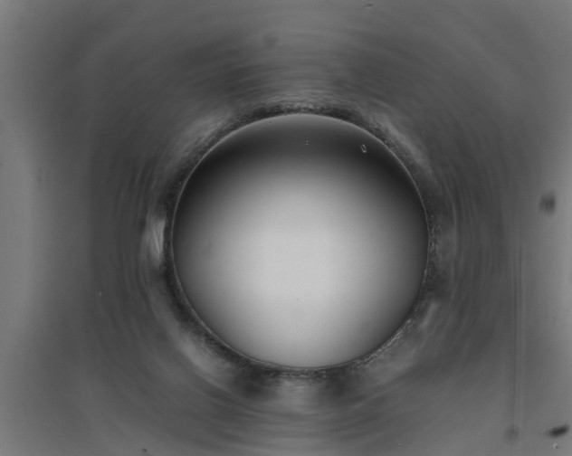 X0000094970070200712061438