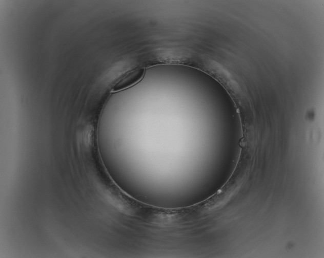 X0000094970071200712061438