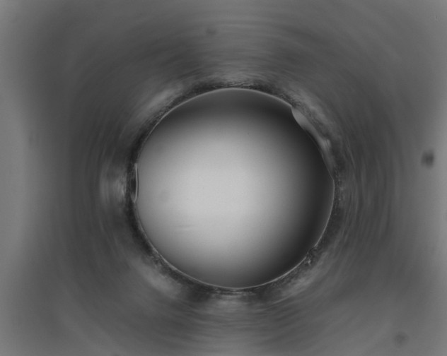 X0000094970072200712061438