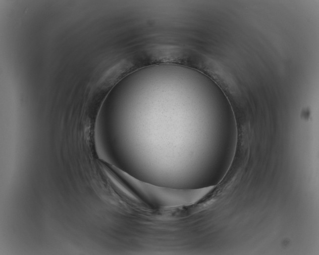 X0000094970073200712061438