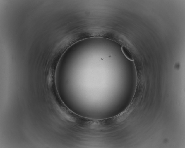 X0000094970074200712061438