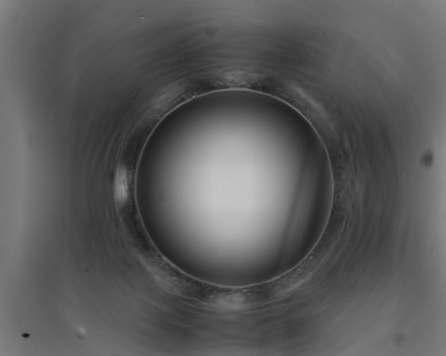 X0000094970075200712061438