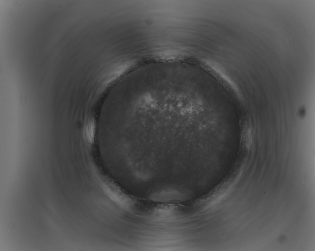 X0000094970076200712061438