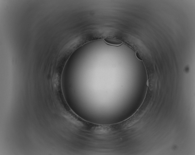 X0000094970077200712061438