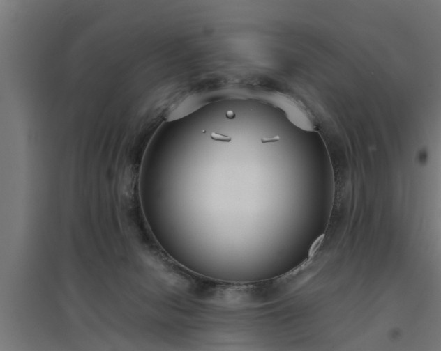 X0000094970078200712061438