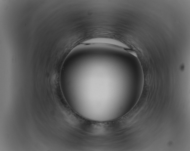 X0000094970079200712061438