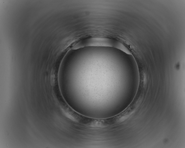 X0000094970080200712061438