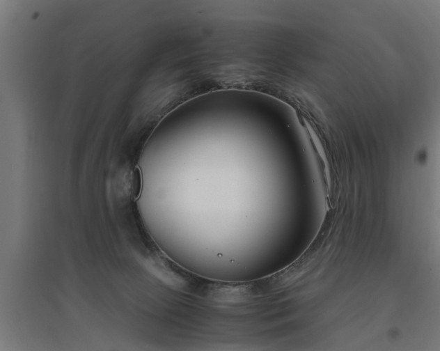 X0000094970081200712061438