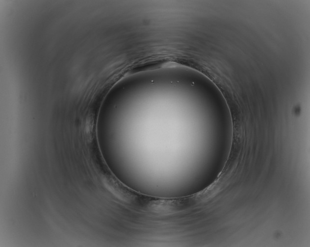 X0000094970082200712061438