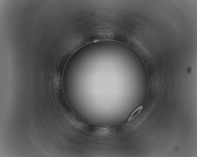 X0000094970083200712061438