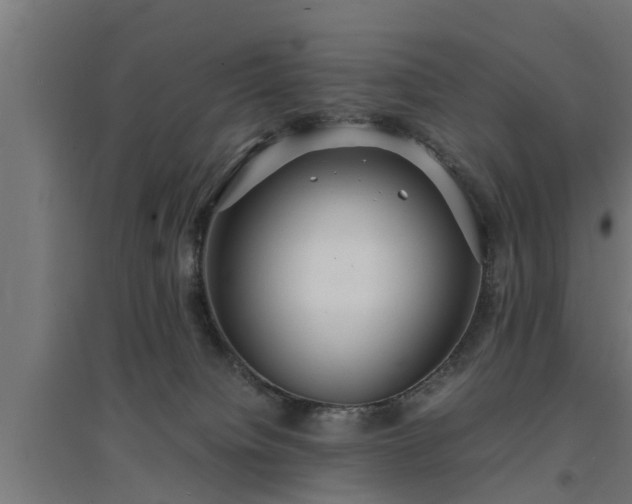 X0000094970084200712061438