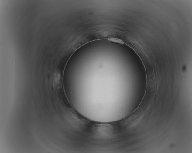 X0000094970087200712061438