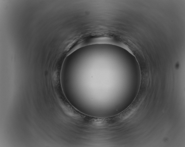 X0000094970088200712061438