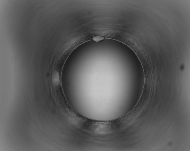 X0000094970089200712061438