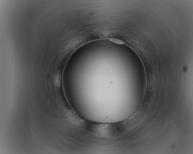 X0000094970090200712061438