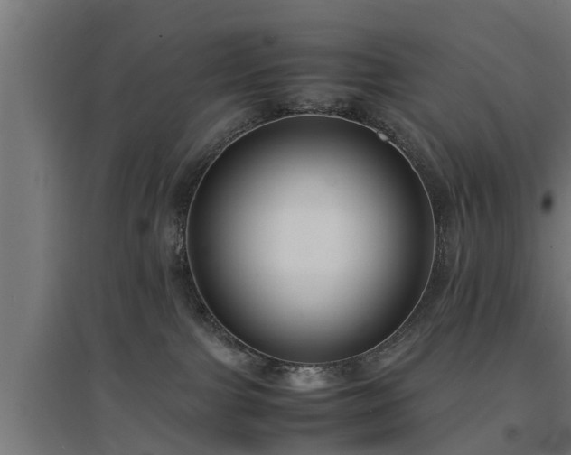 X0000094970091200712061438