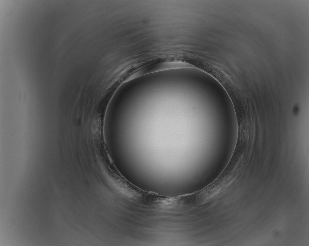 X0000094970092200712061438