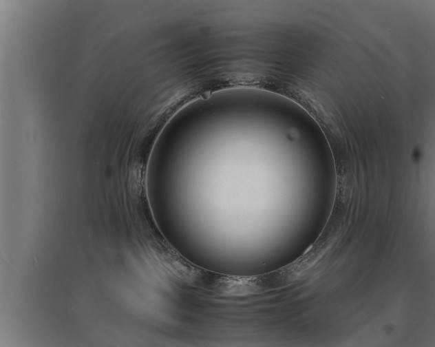 X0000094970093200712061438