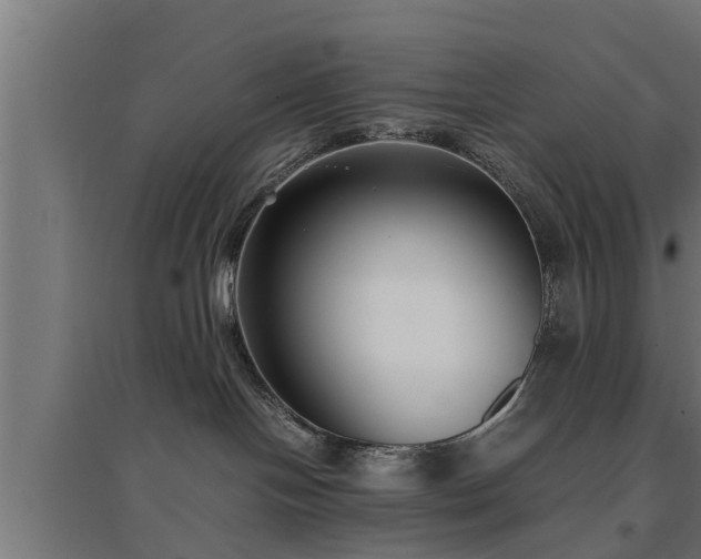 X0000094970094200712061438