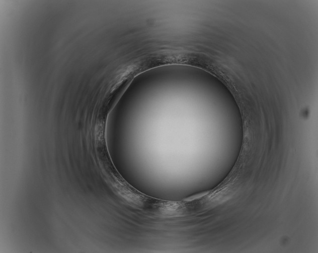 X0000094970096200712061438