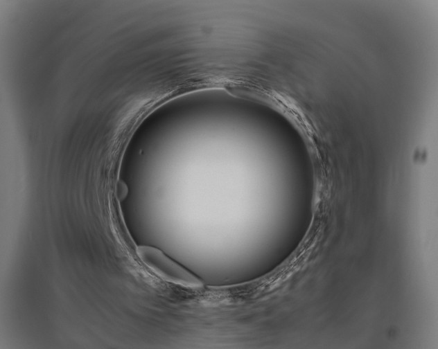 X0000094970097200712061437