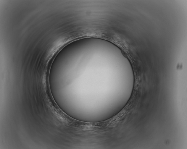 X0000094970098200712061437