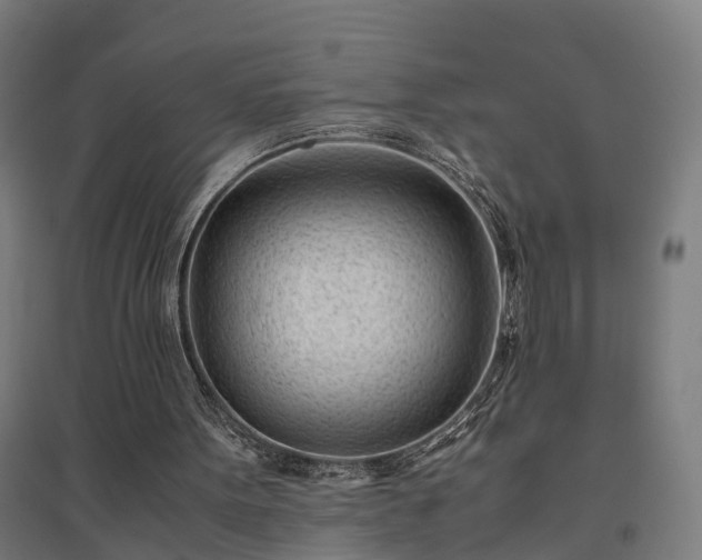 X0000094970099200712061437