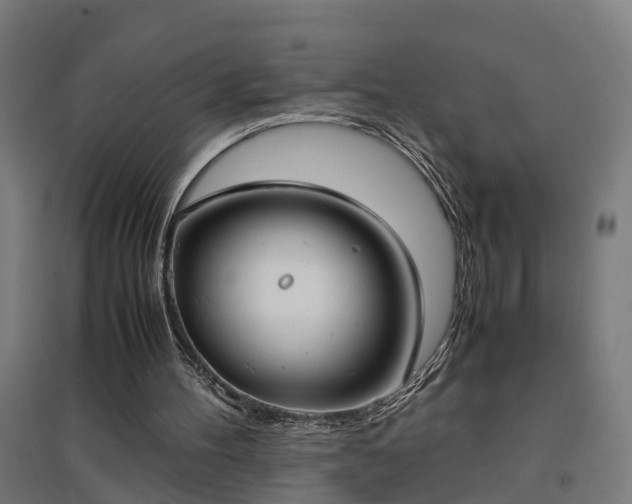 X0000094970100200712061437