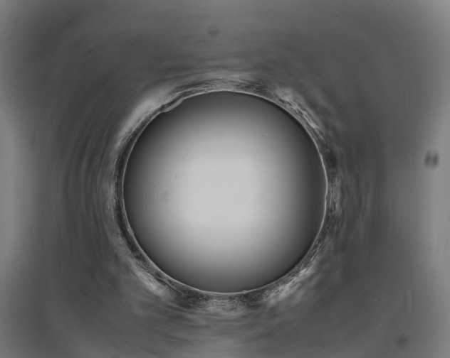 X0000094970101200712061437