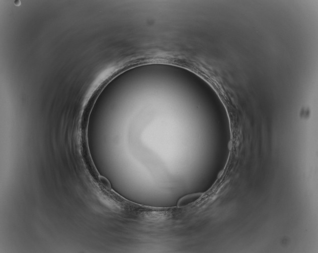 X0000094970102200712061437