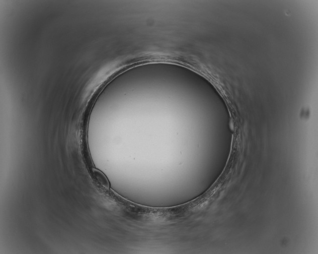 X0000094970103200712061437