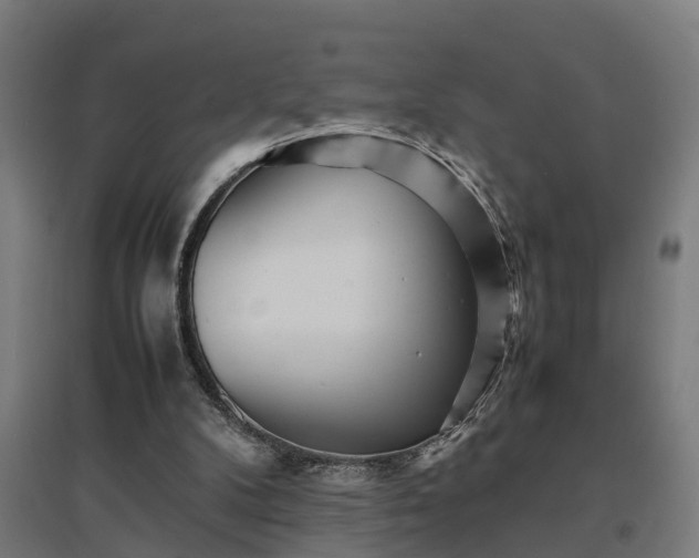 X0000094970104200712061437