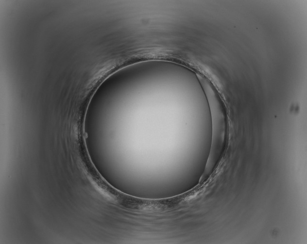 X0000094970105200712061437