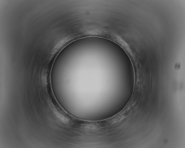 X0000094970106200712061437