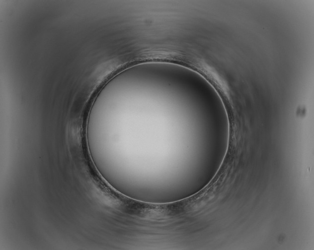 X0000094970107200712061437