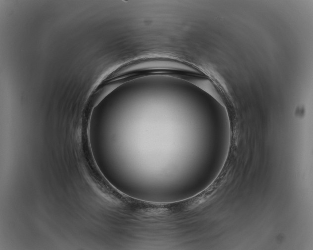 X0000094970108200712061437